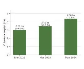 Cobertura vegetal de Cantalao entre 2022 y 2024