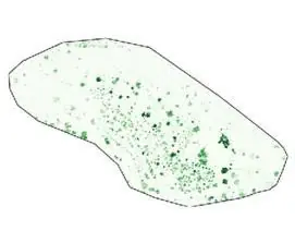 NDVI por dron, enero 2022