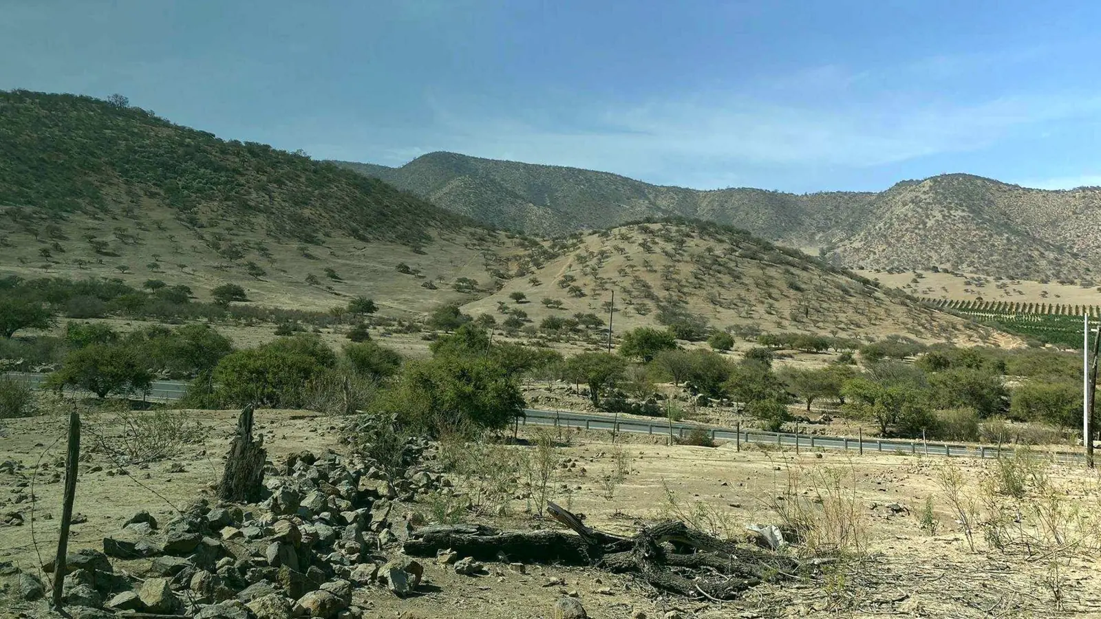 Paisaje de matorral y bosque esclerófilo en la zona central de Chile